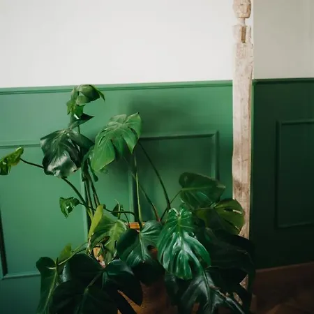 La Belle Endormie French