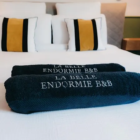 La Belle Endormie French