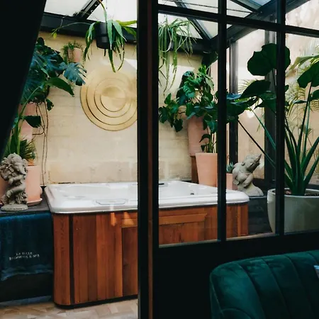 La Belle Endormie French Bed and Breakfast Μπορντό