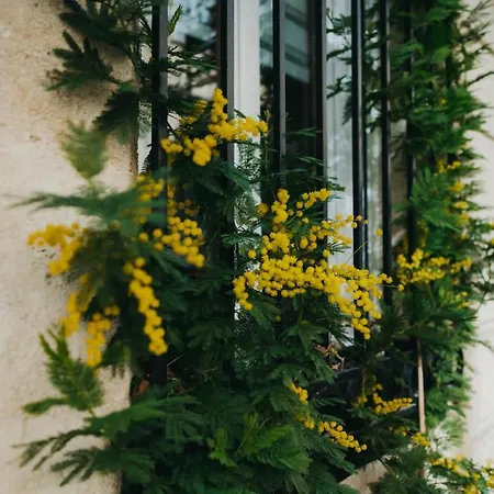 Panzió La Belle Endormie French