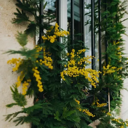 Bed & Breakfast La Belle Endormie French