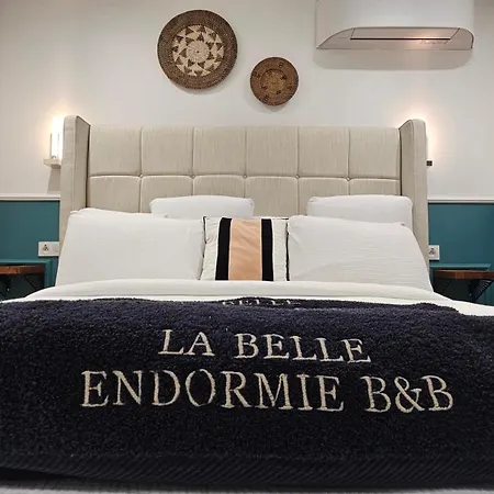 La Belle Endormie French לינה וארוחת בוקר 4*