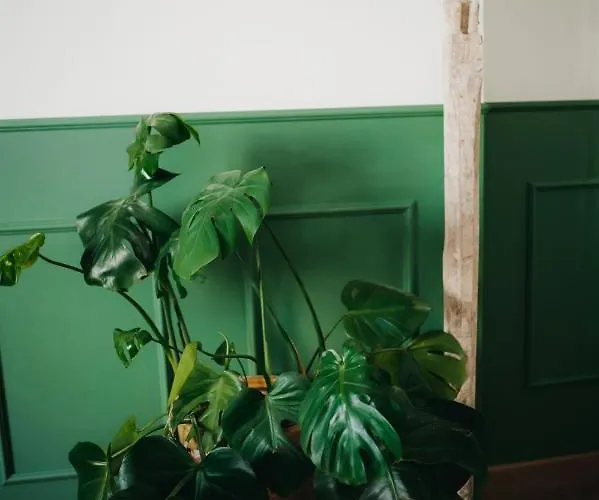 La Belle Endormie French