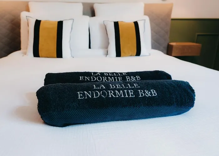 La Belle Endormie French