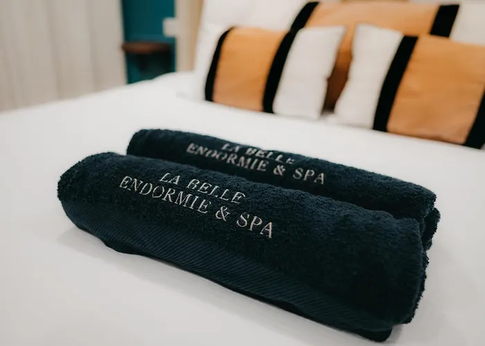 La Belle Endormie French Bordeaux