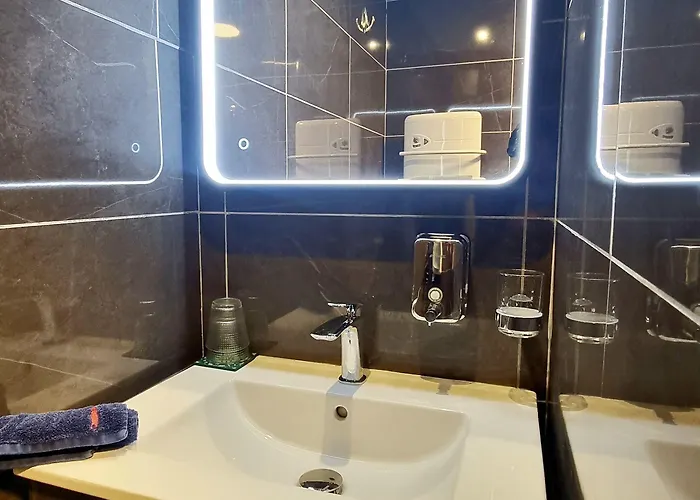 La Belle Endormie French