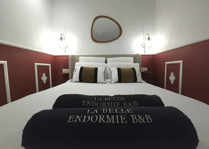 Alojamento de Acomodação e Pequeno-almoço La Belle Endormie French 4*